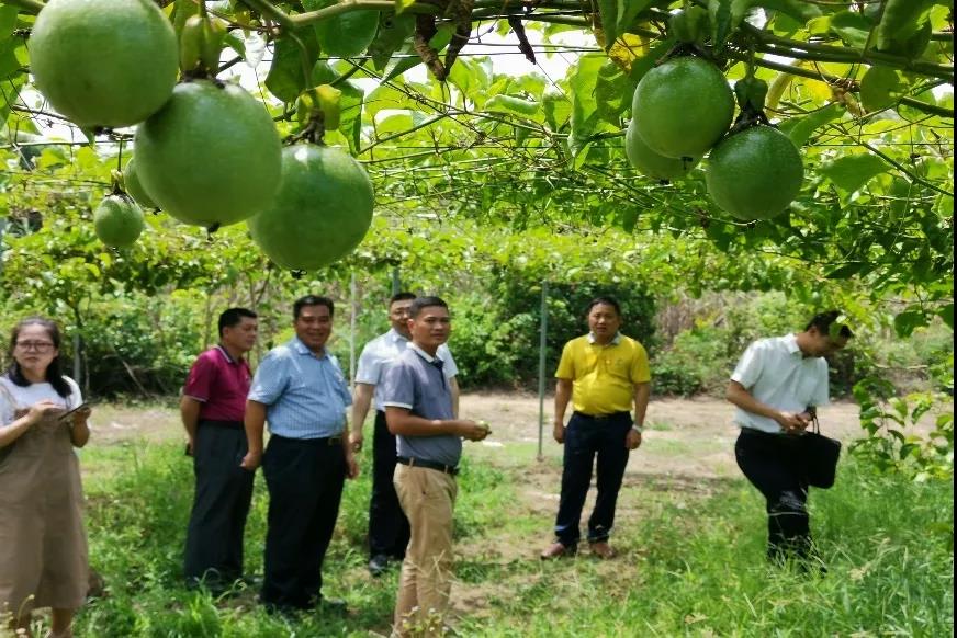 助力脱贫攻坚 通鼎集团在行动 助力脱贫攻坚 通鼎集团在行动